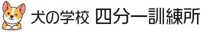 ホームページが新しくなりました。